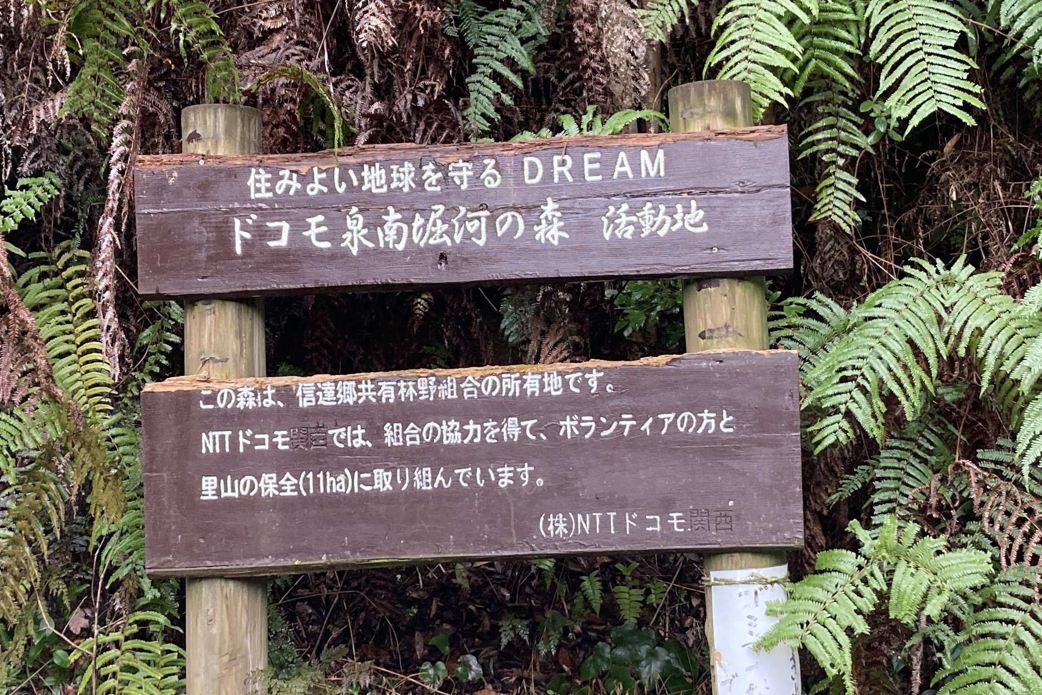 ドコモ泉南堀河の森～